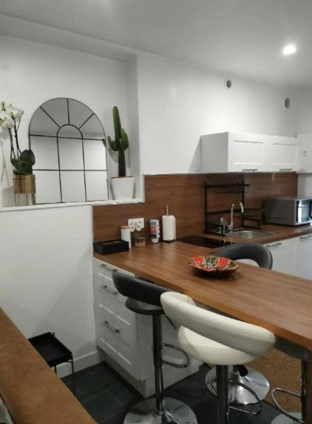 דירות Vénissieux Le Petit Cocon - Parking Prive - Lyon Sud מראה חיצוני תמונה